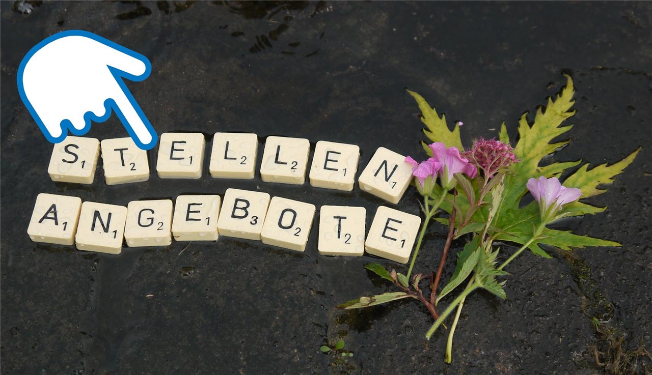 Stellenangebote